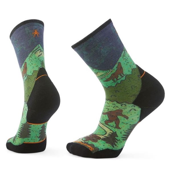 Smartwool Trail Run Targeted Cushion Neature Print Crew Socks - Men's