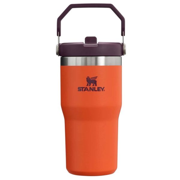 Stanley The IceFlow Flip Straw 20oz Tumbler